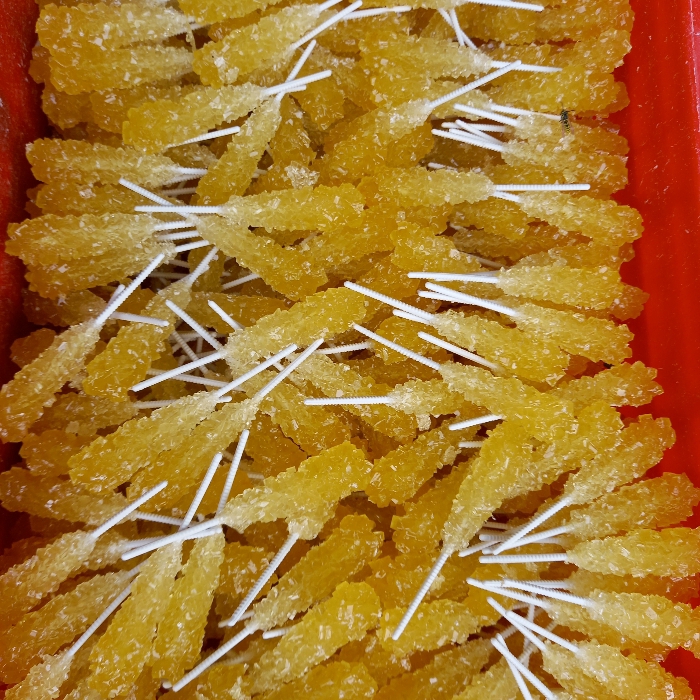 نبات | نبات تکنفره نی دار