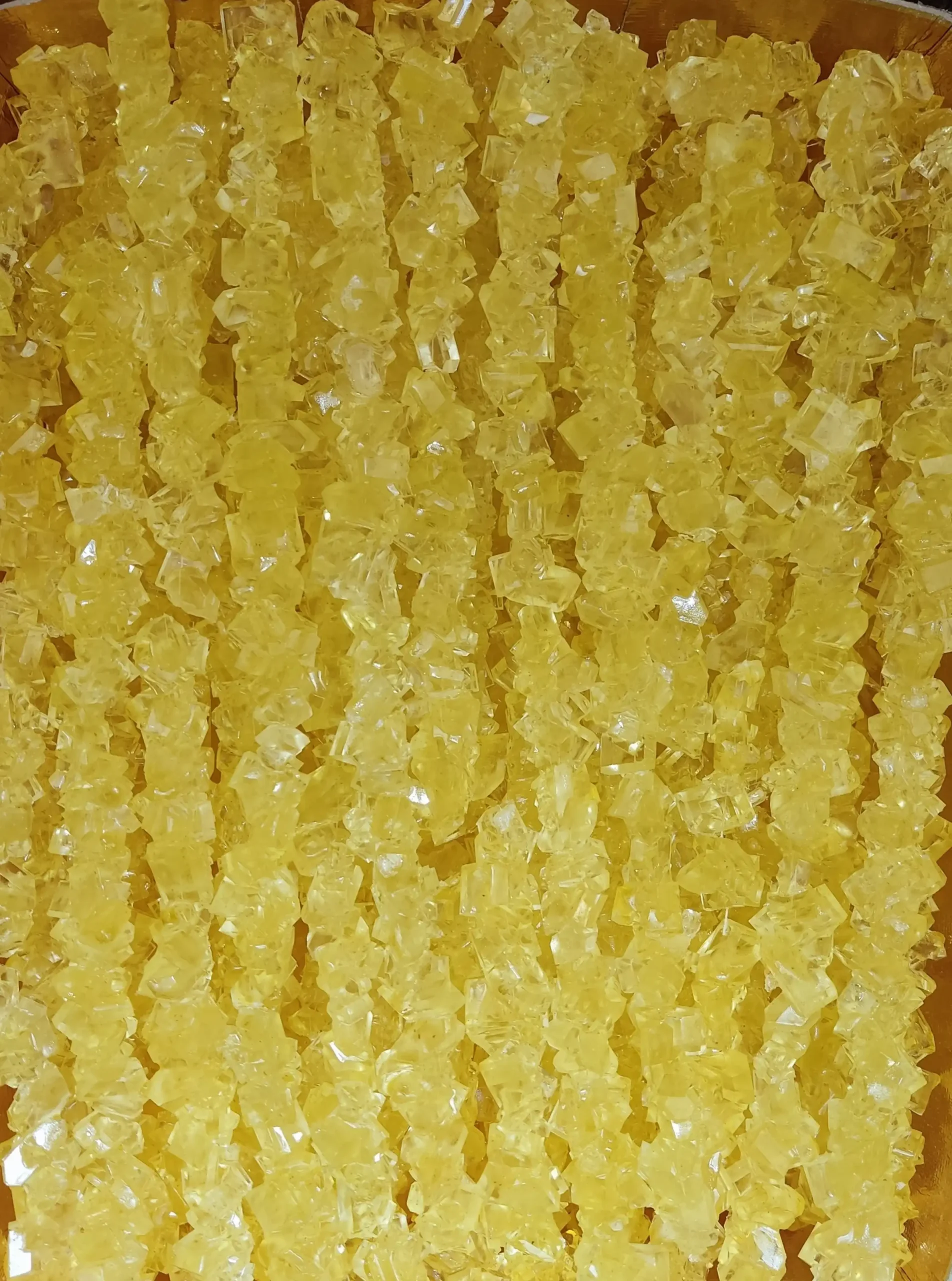 نبات شاخه ای زعفرانی 2 کیلوگرمی